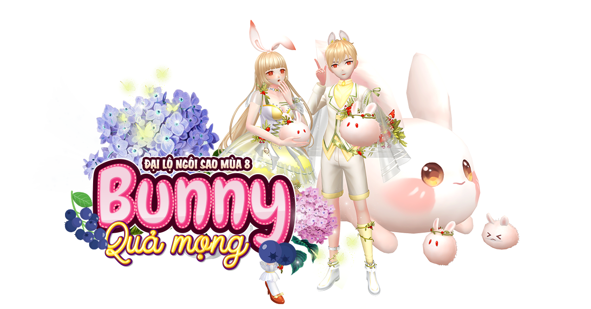 ảnh banner